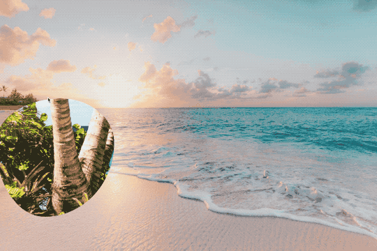 parallax-image-transition-webflow